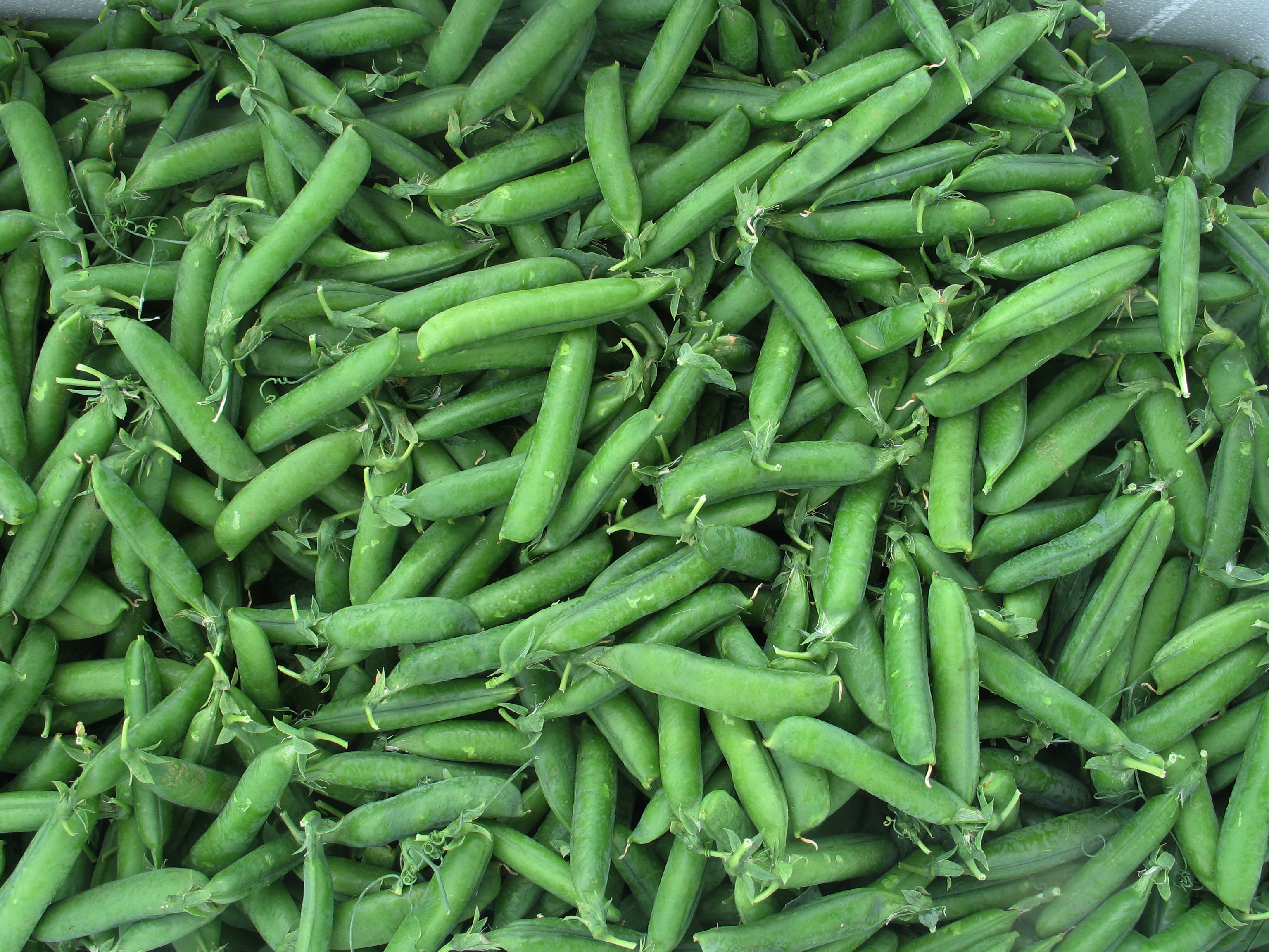 Green Peas